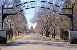 Entrada principal del cementerio con arco metálico y camino arbolado