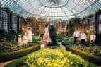 Ceremonia de boda íntima en el interior del invernadero con arcos florales y luz natural