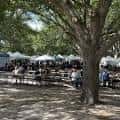 Evento al aire libre en el patio del centro cultural con mesas bajo árboles