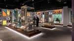 Exposición interior con vitrinas iluminadas y visitantes recorriendo las salas