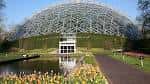 Vista panorámica del invernadero Shaw Conservatory con flores de tulipanes en primer plano