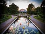 Jardín zen con estanque de nenúfares y pabellón tradicional al atardecer