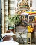 Interior acogedor de un local en el Delmar Maker District con decoración urbana y plantas