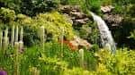Cascada natural integrada en un lecho de plantas verdes y flores altas