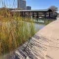 Pasarela junto al lago con vegetación nativa y pabellón moderno al fondo
