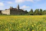 Vista panorámica del castillo de Wandlebury con campo de flores amarillas al frente