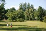 Área verde del parque con personas caminando entre árboles frondosos