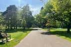 Sendero arbolado en Ormeau Park con bancos y césped verde bajo cielo soleado
