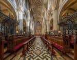 Interior de la nave principal con bóvedas ornamentadas y bancos de madera con cojines rojos
