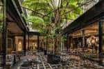 Patio interior con vegetación tropical y zona de estar elegante