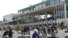 Vista exterior del hipódromo Tampa Bay Downs con espectadores y caballos en el área de salida