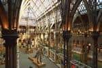 Vista panorámica del interior de la galería principal con techos de cristal y columnas góticas