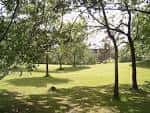 Vista panorámica del parque con césped verde y árboles bajo luz diurna