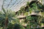 Jardín interior del complejo Barbican con vegetación tropical y arquitectura brutalista