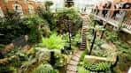 Jardín botánico interior con senderos y vegetación tropical