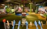 Exhibición educativa sobre la naturaleza con elementos interactivos