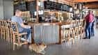 Interior del bar de Metazoa Brewing Company con clientes sentados en taburetes