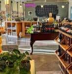 Interior acogedor de Violet Wine & Spirits con estanterías llenas de vinos y ambiente cálido
