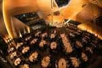 Salón de eventos decorado para una boda con mesas redondas y iluminación cálida