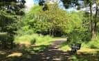 Sendero arbolado en Downhills Park con banco de madera bajo la luz del sol