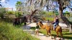 Visitantes disfrutando de un paseo en camello junto a un estanque bajo árboles cubiertos de musgo español