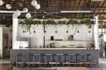 Barra interior del Wax Space con diseño industrial y vegetación decorativa