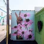 Mural vibrante de flores rosas y símbolo de paz en la pared del evento