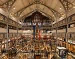 Interior amplio del Pitt Rivers Museum con exhibiciones en múltiples niveles