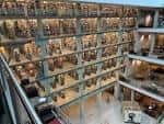 Interior del atrio principal de la biblioteca con múltiples niveles de estanterías iluminadas