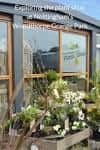 Fachada de la tienda de plantas con ventanales y exhibición de flores blancas en primer plano