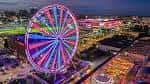 The St. Louis Wheel iluminado con luces de colores durante la noche