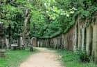 Sendero arbolado entre muros de tumbas en el interior del cementerio