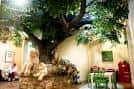 Interior acogedor con árbol grande y decoración rústica