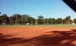 Campo deportivo de tierra roja rodeado de árboles bajo cielo despejado