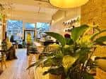Vista interior luminosa de POP Coffee con plantas decorativas y estilo urbano moderno