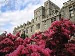 Fachada del edificio principal rodeado de arbustos en flor rosa bajo cielo azul