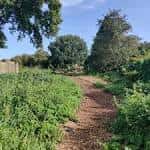 Sendero natural rodeado de vegetación en Seacroft Forest Garden