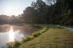 Sendero junto al lago al amanecer con luz dorada y vegetación verde