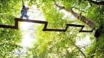 Puente colgante entre árboles en la zona boscosa del parque
