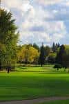 Paisaje verde del club con árboles en primer plano