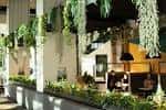Interior del local Blend con decoración de plantas colgantes y ambiente acogedor