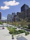 Plaza abierta con vegetación y personas disfrutando del espacio público