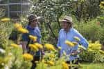Dos personas caminando entre hileras de plantas en los huertos urbanos