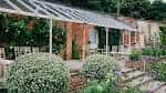 Terraza exterior del Pippley Walled Garden con mesas y vegetación