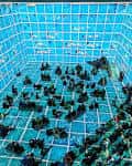 Vista cenital de una sala de Lightroom con piso azul cuadriculado y figuras humanas proyectadas como sombras
