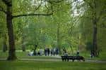 Área verde de Green Park con personas descansando y árboles frondosos