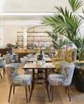 Zona de comedor con mesas dispuestas para cena y planta grande en primer plano