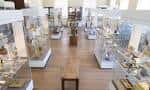 Sala principal del museo con exhibiciones organizadas y mobiliario clásico