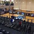 Interior del gimnasio del Healthplex con equipamiento de cardio y pista deportiva en segundo plano