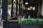 Terraza exterior de AVA con plantas decorativas y clientes sentados